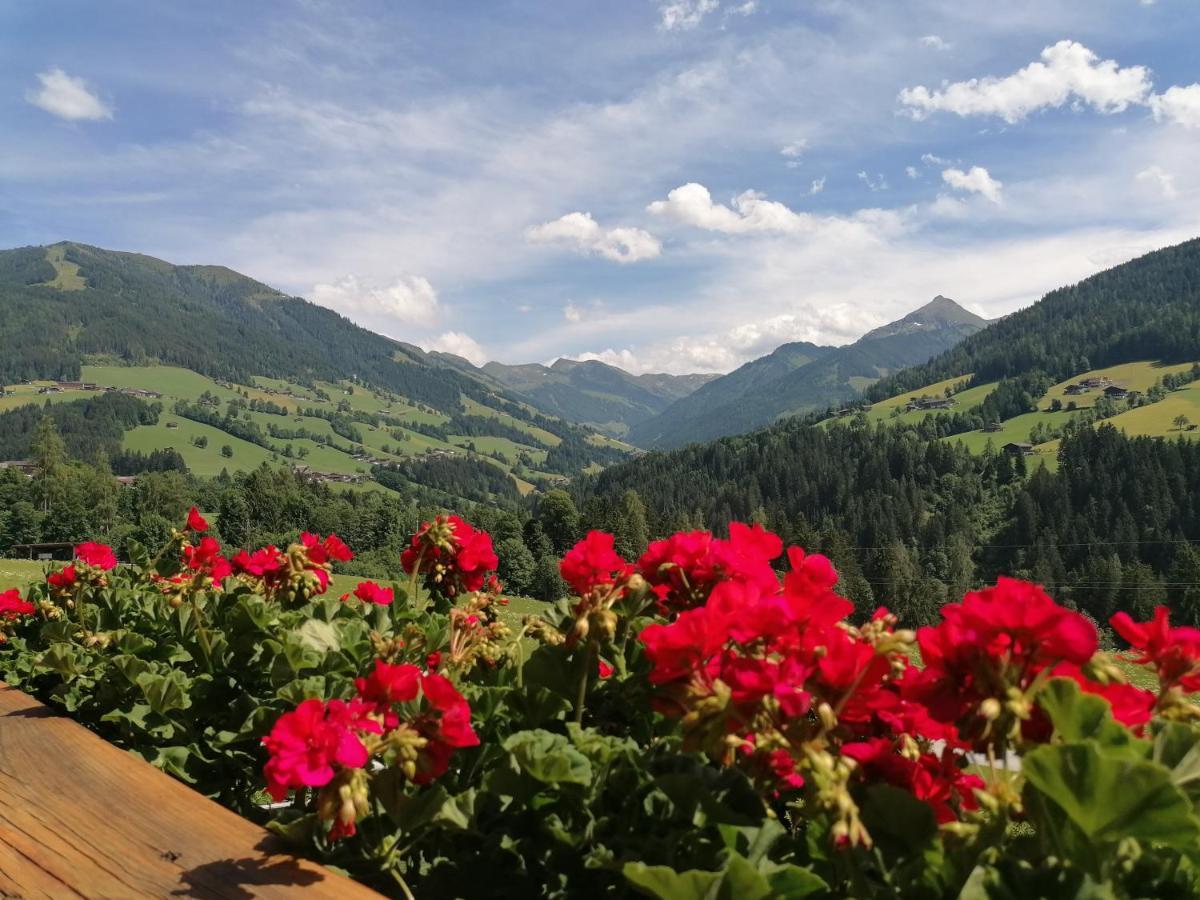 Haus Schmetterling Appartement Alpbach Buitenkant foto
