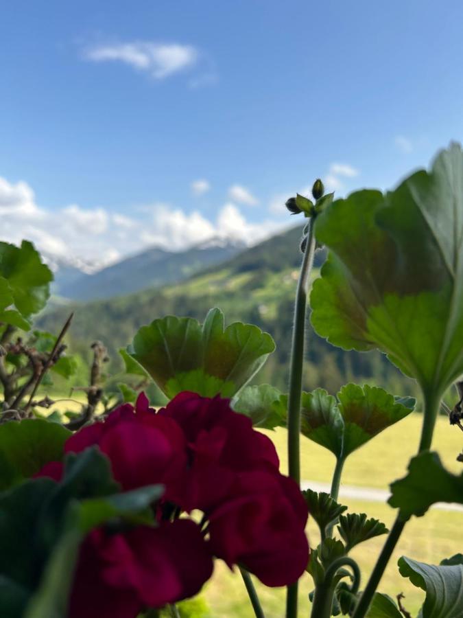 Haus Schmetterling Appartement Alpbach Buitenkant foto