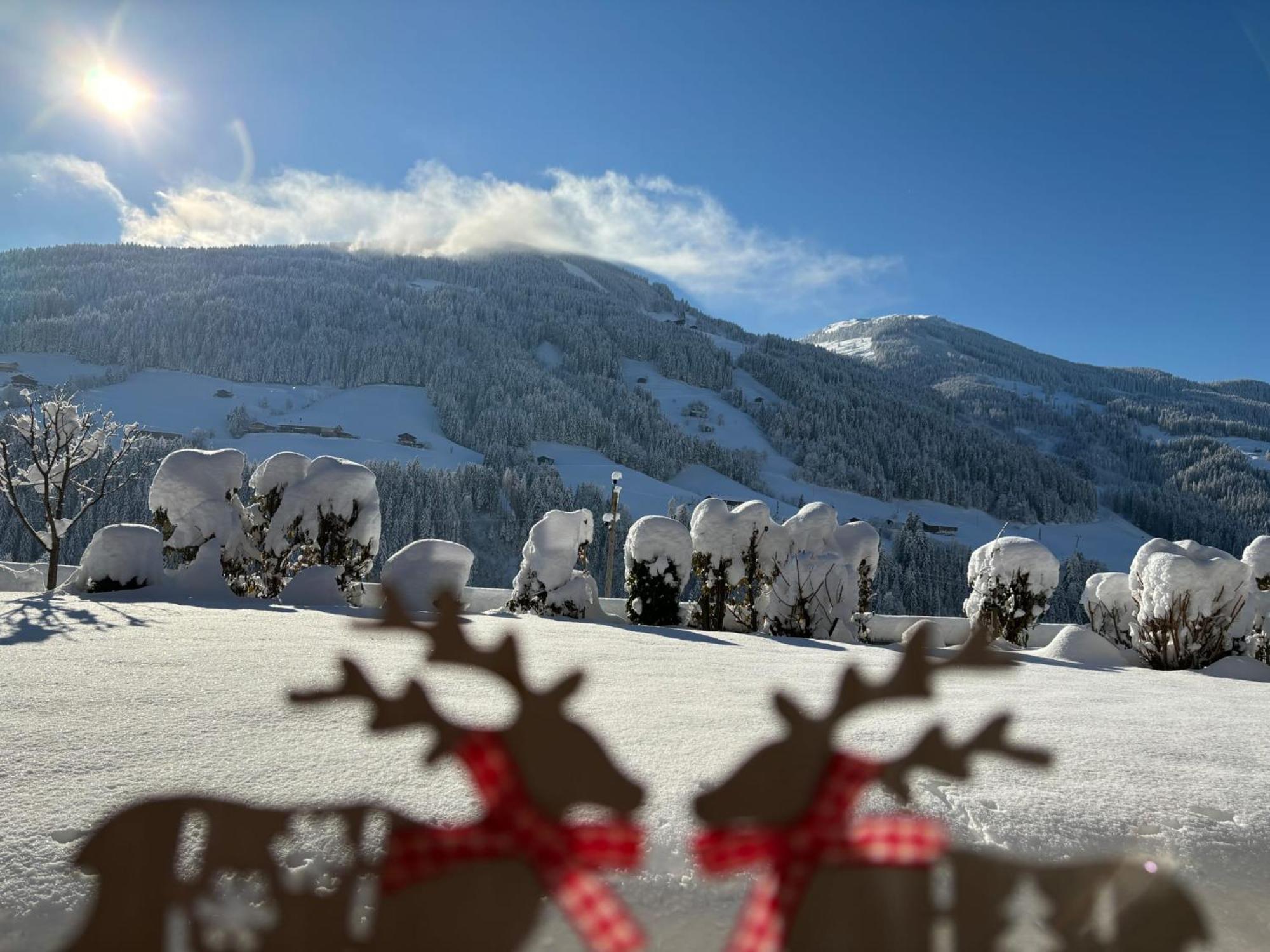 Haus Schmetterling Appartement Alpbach Buitenkant foto