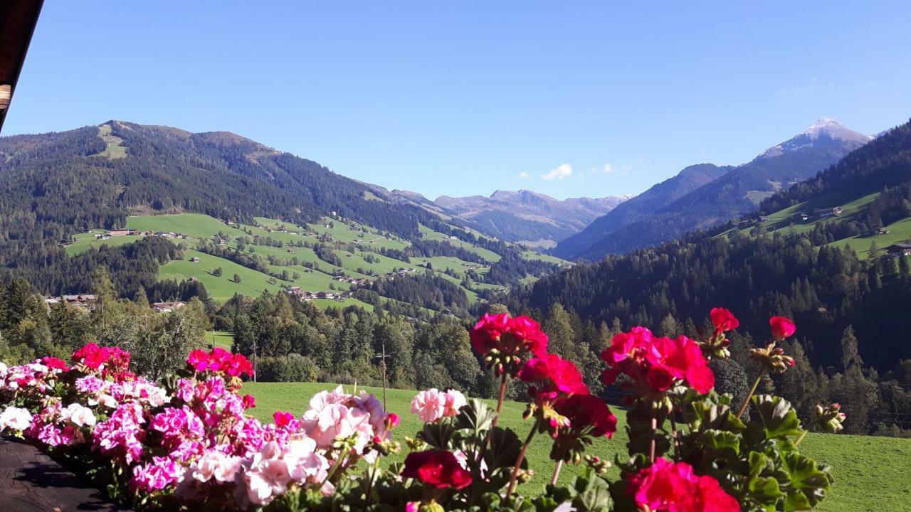 Haus Schmetterling Appartement Alpbach Buitenkant foto