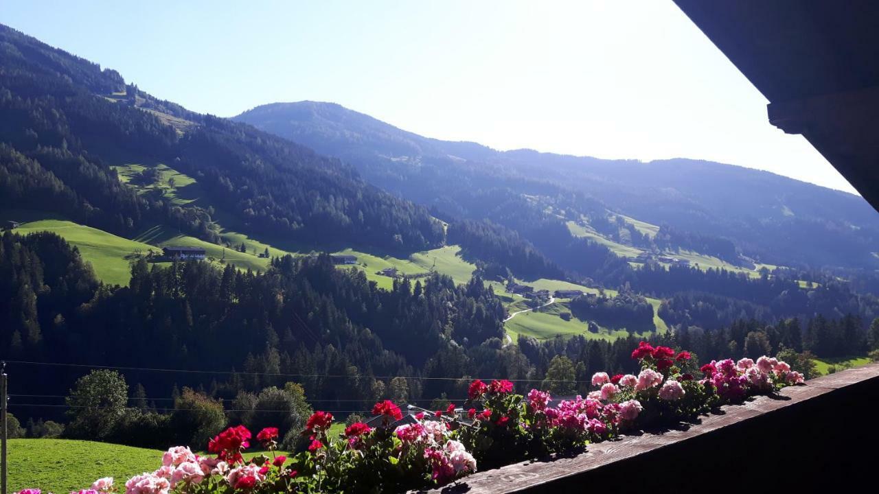 Haus Schmetterling Appartement Alpbach Buitenkant foto