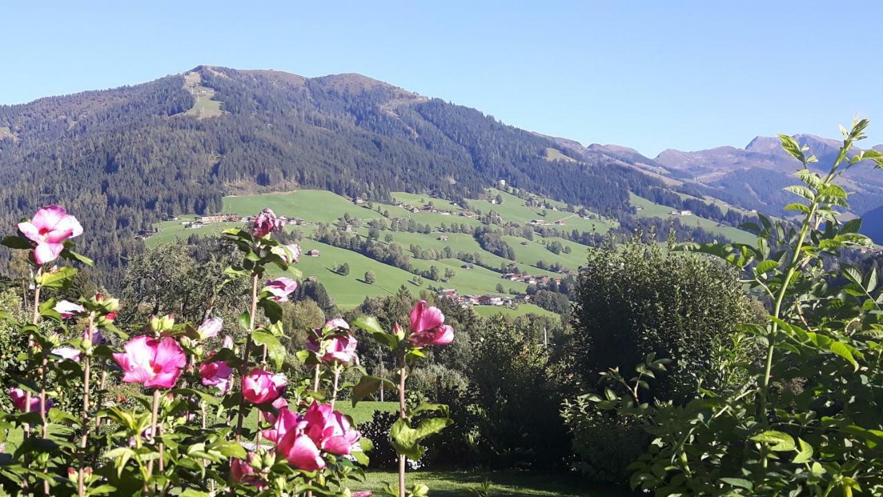 Haus Schmetterling Appartement Alpbach Buitenkant foto